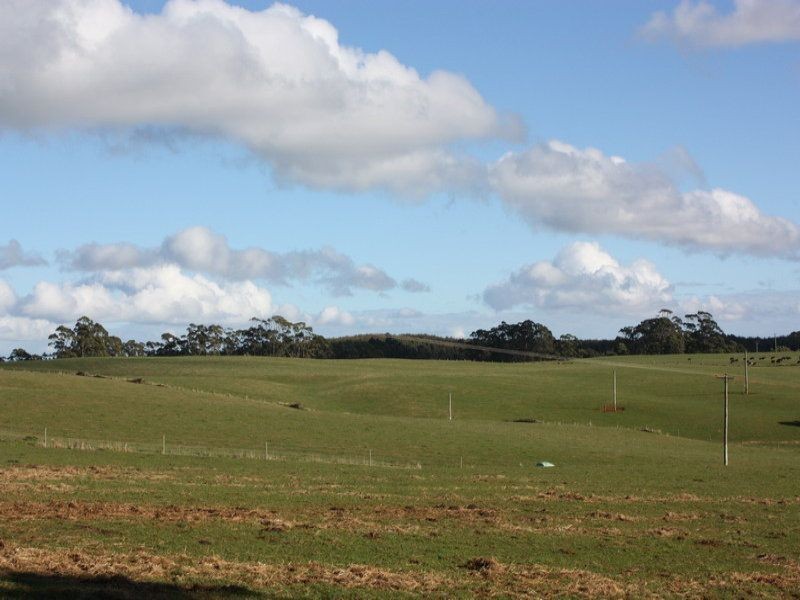 249 Maguires Road, Nabageena TAS 7330