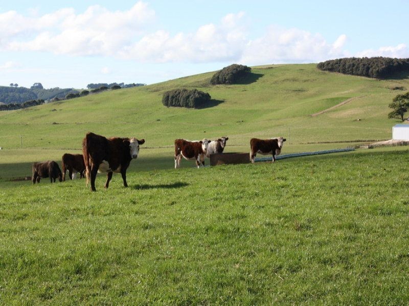 249 Maguires Road, Nabageena TAS 7330