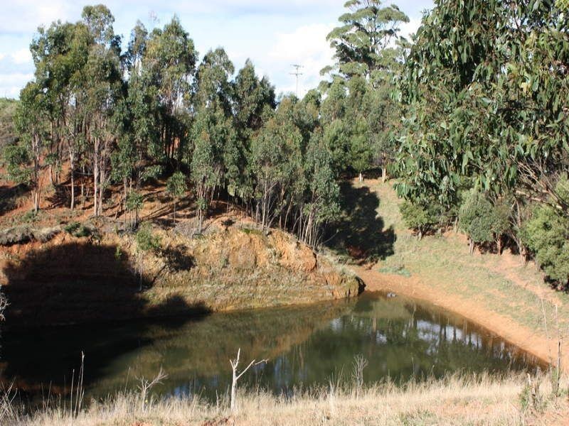 249 Maguires Road, Nabageena TAS 7330