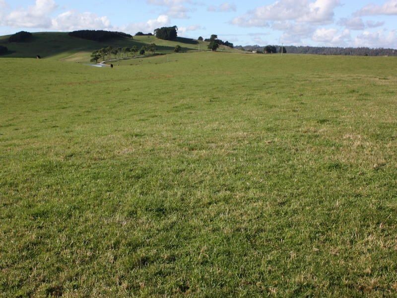 249 Maguires Road, Nabageena TAS 7330