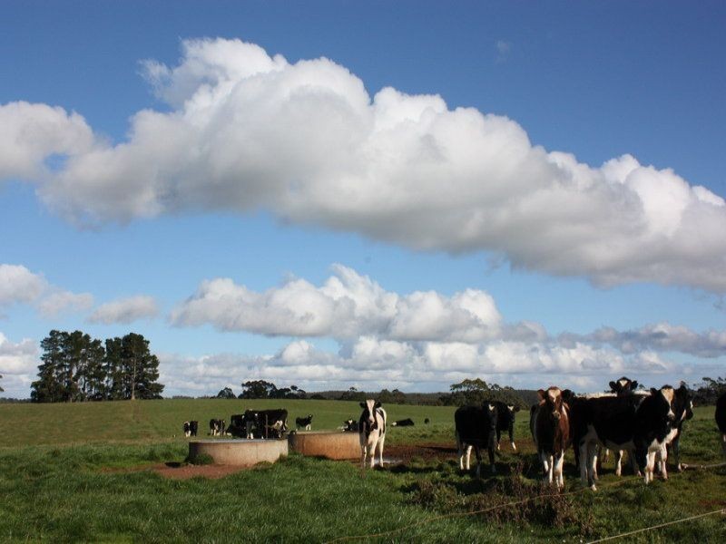 249 Maguires Road, Nabageena TAS 7330