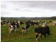 320 Poilina Road, Edith Creek TAS 7330