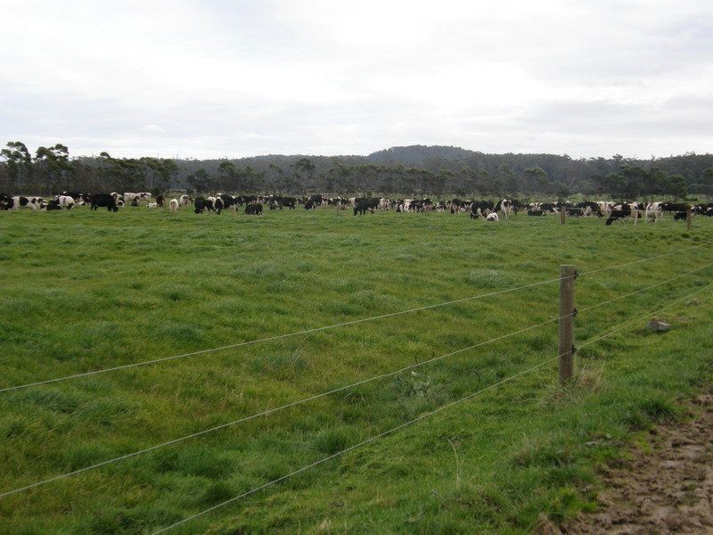 320 Poilina Road, Edith Creek TAS 7330