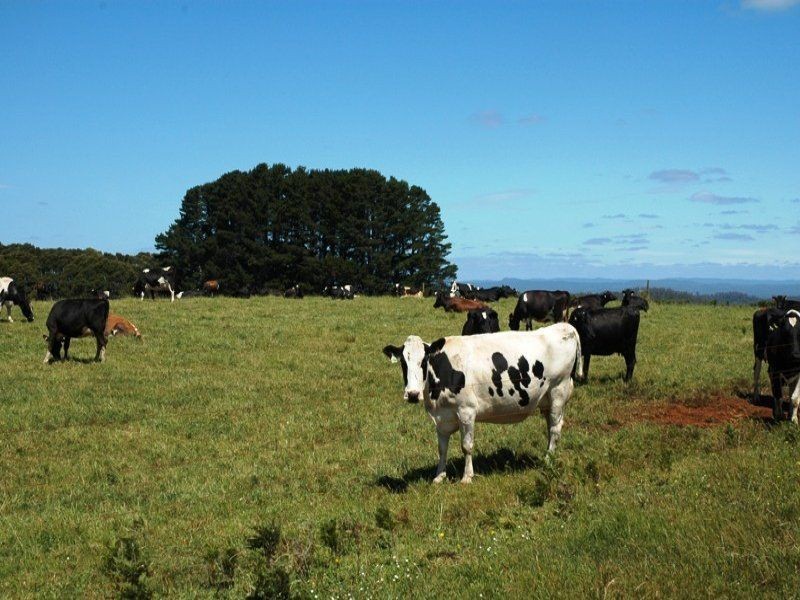 207 Ransons Road, Lileah TAS 7330