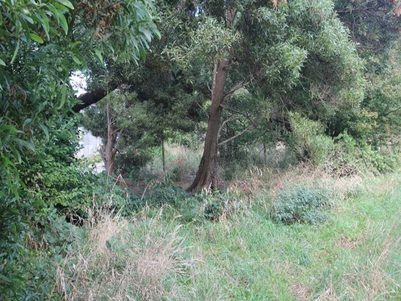 6 Fenton Street, Smithton TAS 7330