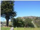 14 Main Road, Stanley TAS 7331