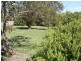 14 Main Road, Stanley TAS 7331