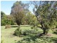 14 Main Road, Stanley TAS 7331