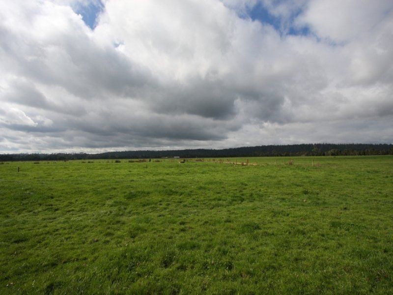 278 Blackwood Road, Togari TAS 7330