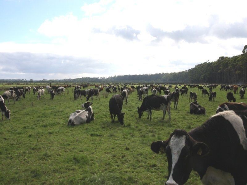 278 Blackwood Road, Togari TAS 7330