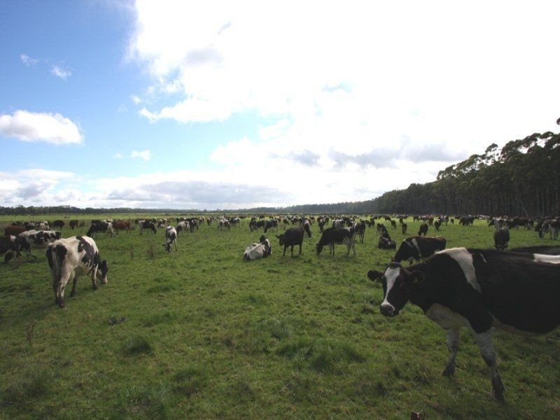 278 Blackwood Road, Togari TAS 7330