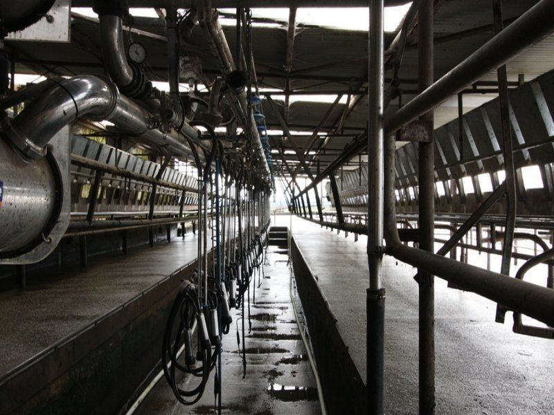 278 Blackwood Road, Togari TAS 7330