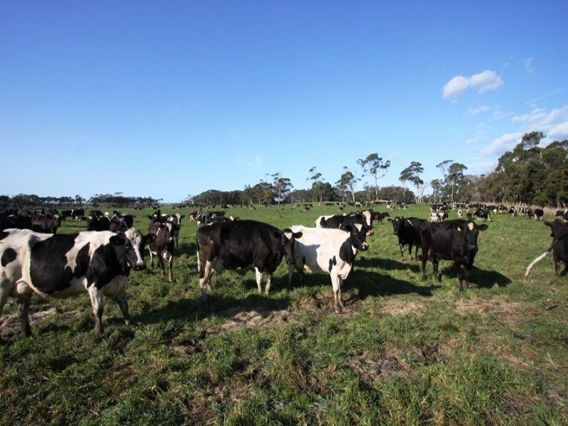 21395 Bass Highway, Boomahnoomoonah VIC 3728