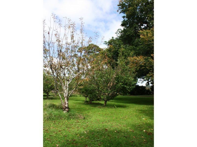 247 Roger River Road, Roger River TAS 7330