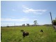 1 Ida Scott Cresent, Smithton TAS 7330