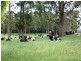 134 Huetts Road, Edith Creek TAS 7330