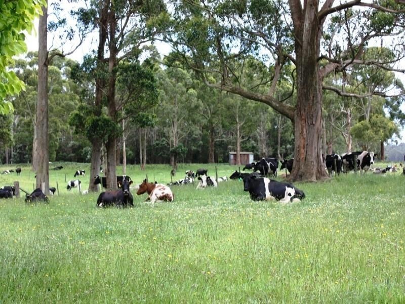 134 Huetts Road, Edith Creek TAS 7330