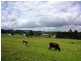 134 Huetts Road, Edith Creek TAS 7330