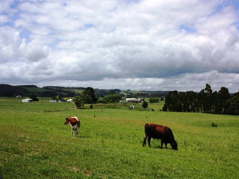 134 Huetts Road, Edith Creek TAS 7330