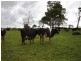109 Bartletts Road, Mawbanna TAS 7321