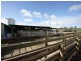 217 Trowutta Road, Smithton TAS 7330