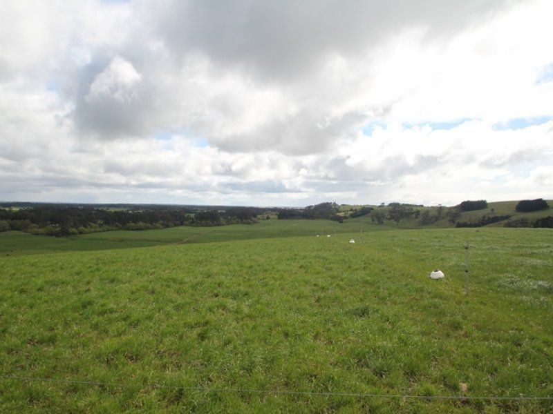 217 Trowutta Road, Smithton TAS 7330