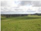 217 Trowutta Road, Smithton TAS 7330