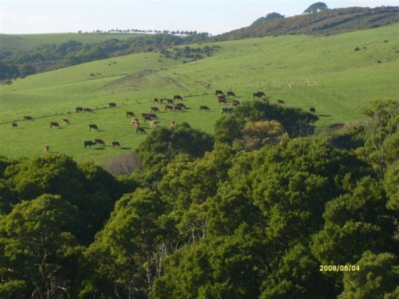 71 Kays Road, Irishtown TAS 7330