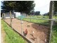 2172 Trowutta Road, Trowutta TAS 7330