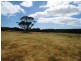 21 Sampsons Avenue, Smithton TAS 7330