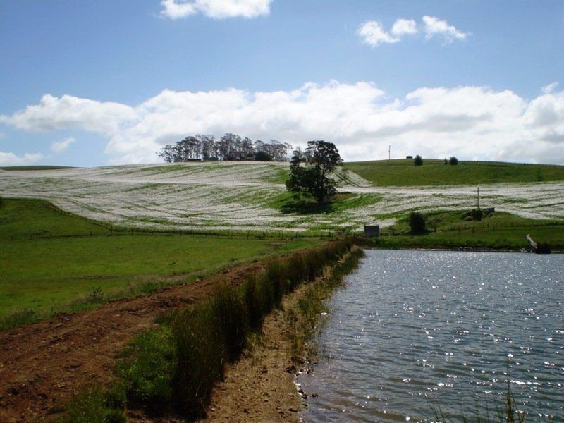 280 Exton Road, Exton TAS 7303