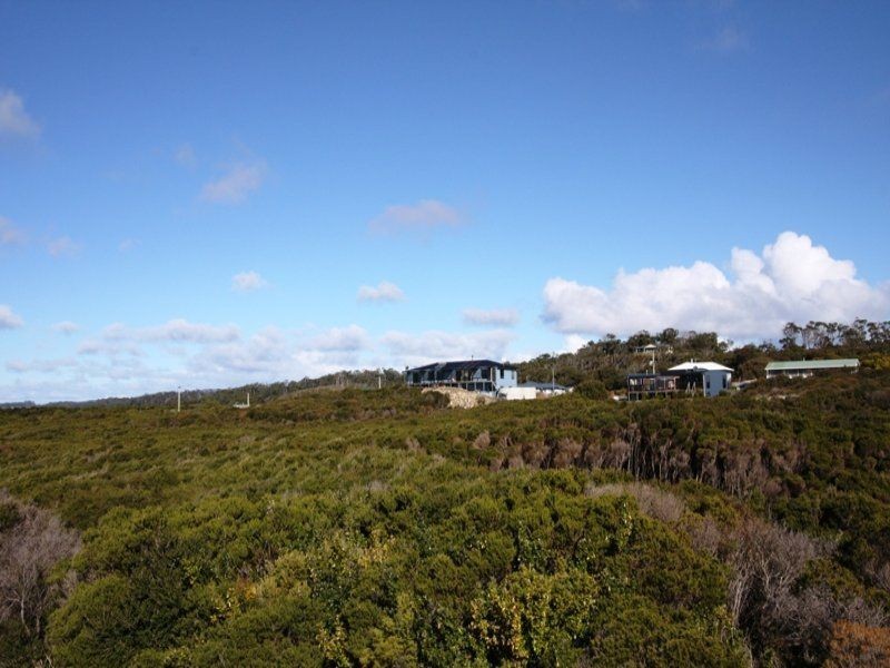 58 Amaroo Drive, Edgcumbe Beach TAS 7321