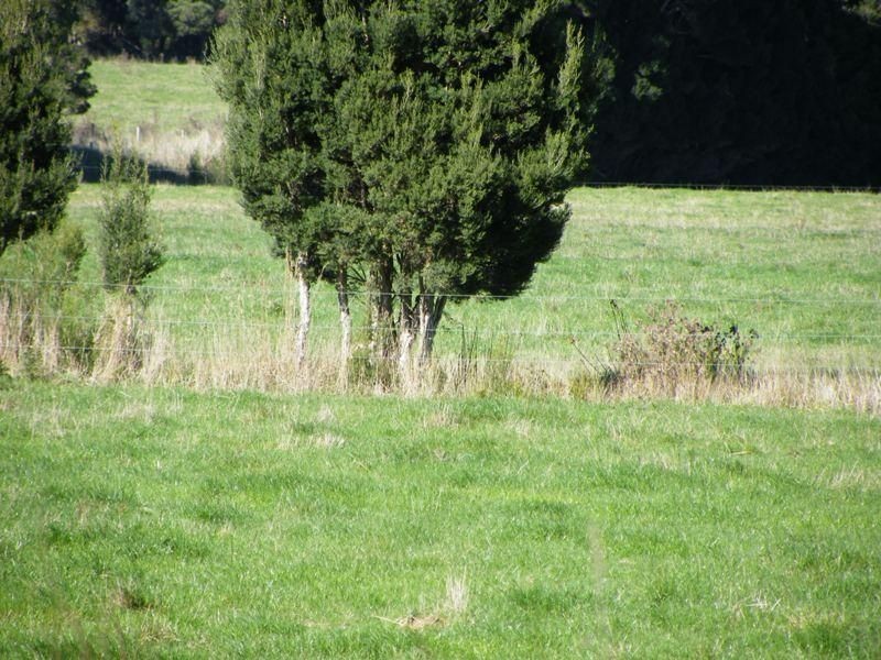 44 Purdys Road, Irishtown TAS 7330