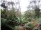 1 Tipunah Road, Mengha TAS 7330