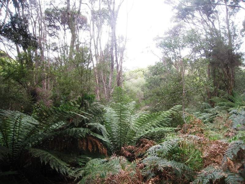 1 Tipunah Road, Mengha TAS 7330