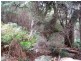 1 Tipunah Road, Mengha TAS 7330