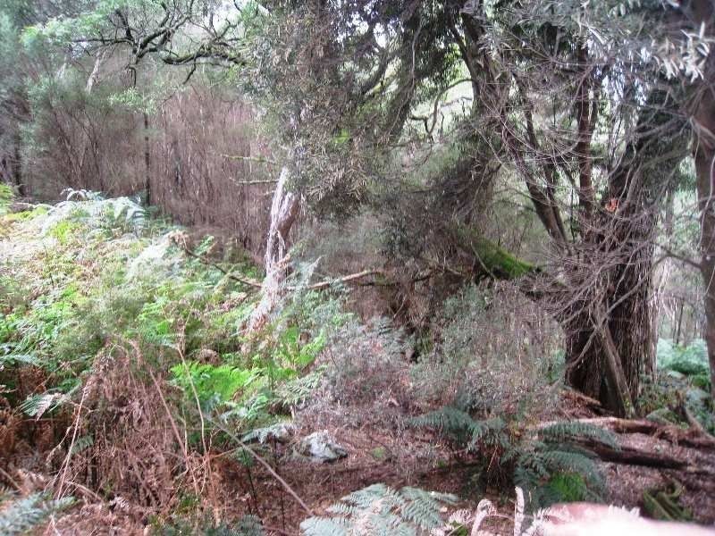 1 Tipunah Road, Mengha TAS 7330