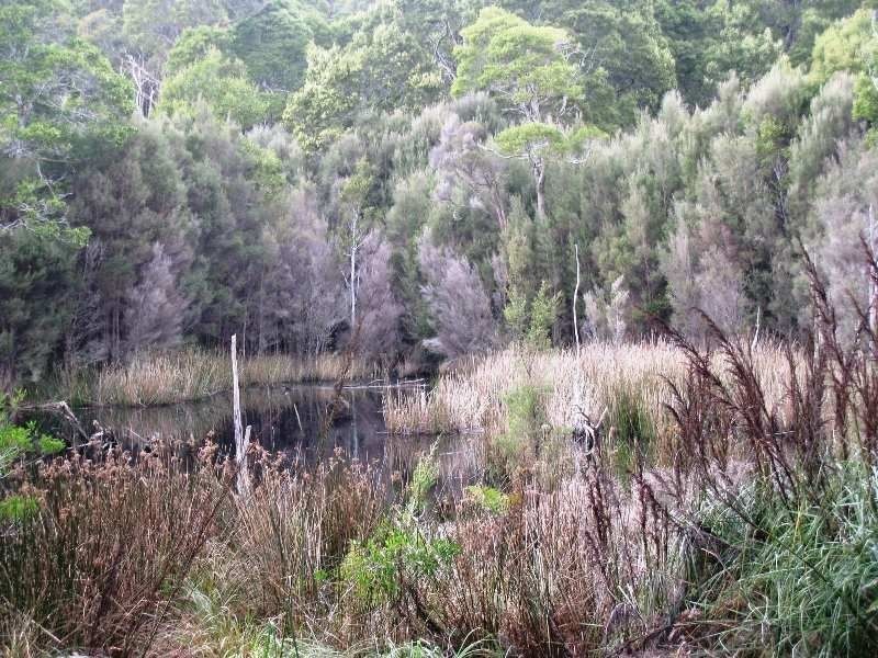 1 Tipunah Road, Mengha TAS 7330