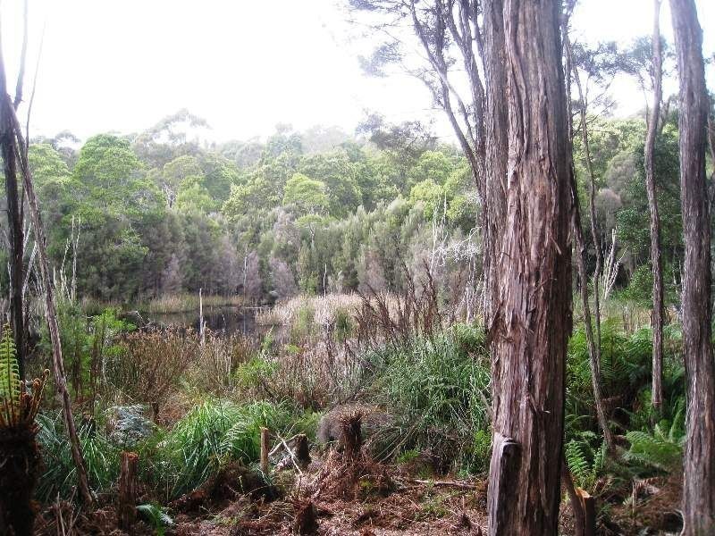 1 Tipunah Road, Mengha TAS 7330