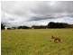950 Mengha Road, Mengha TAS 7330