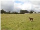 950 Mengha Road, Mengha TAS 7330