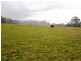 950 Mengha Road, Mengha TAS 7330