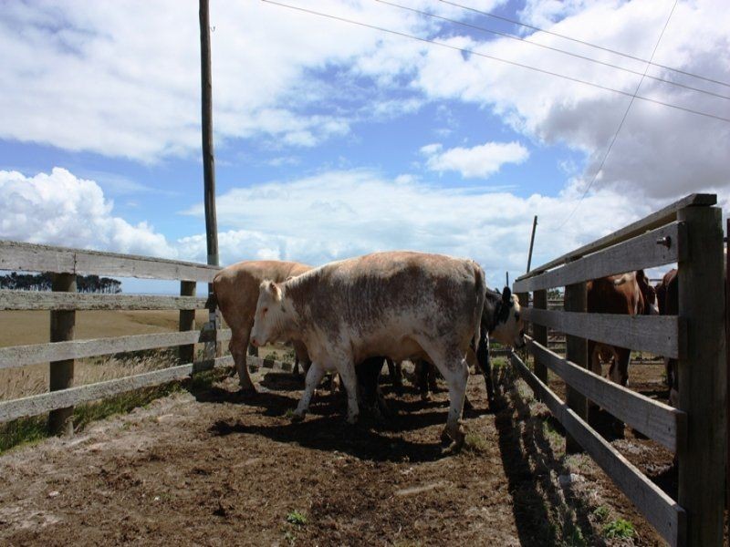 592 South Road, Alcomie TAS 7330