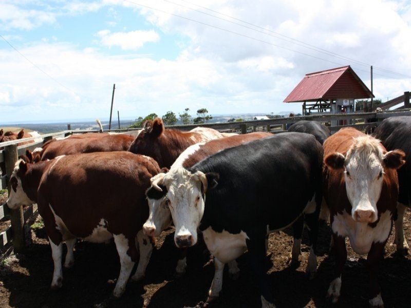 592 South Road, Alcomie TAS 7330