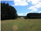 1181 South Road, Nabageena TAS 7330