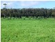 27444 Bass Highway, Marrawah TAS 7330
