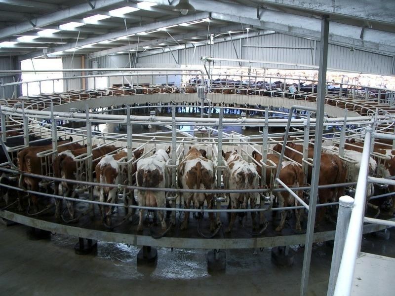 485 Partridge Road, Togari TAS 7330