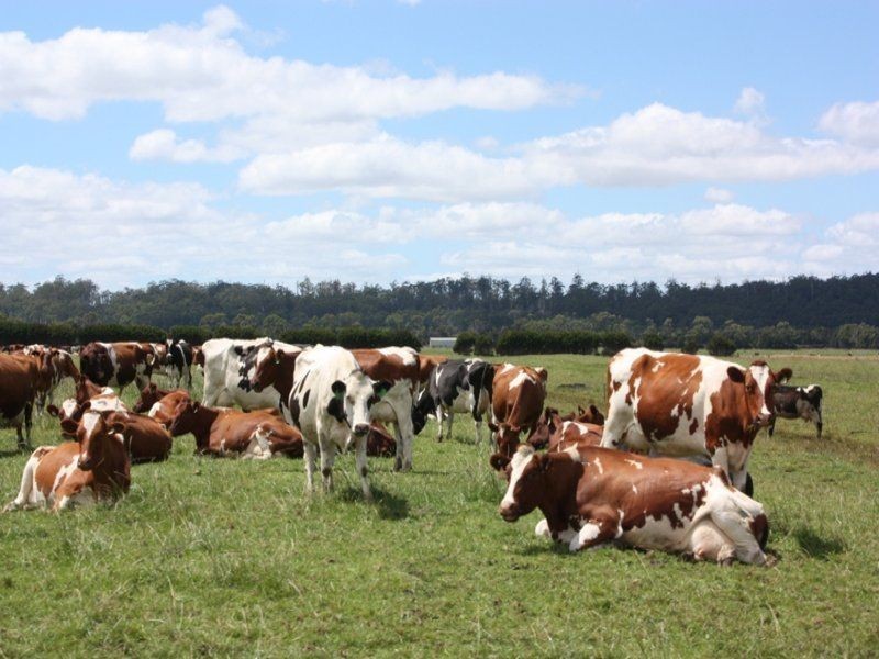 485 Partridge Road, Togari TAS 7330