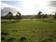1 Bourkes Road, Irishtown TAS 7330