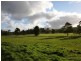 1 Bourkes Road, Irishtown TAS 7330